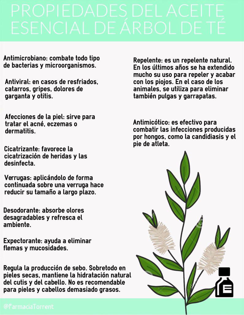 infografía propiedades aceite esencial árbol de té