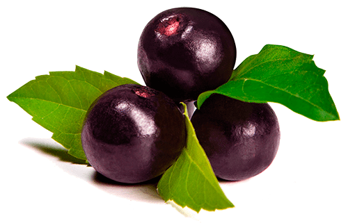Açai Superfood