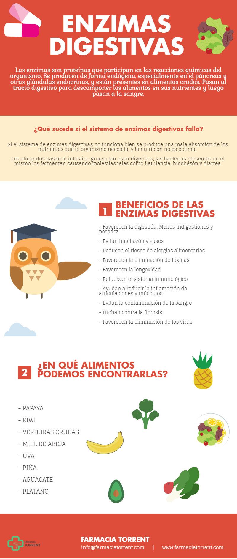 “infografía Sobre Las Enzimas Digestivas” Está Bloqueado Infografía