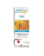 GRICAR PROPOLIS SPRAY INFANTIL GARGANTA 15ML