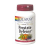SOLARAY PROSTATE DEFENSE 90 COMPRIMIDOS