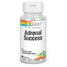 SOLARAY ADRENAL SUCCESS 60CAPSULAS