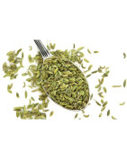 Prisma Natural Anís Verde 80 gr