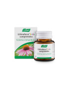 A. VOGEL ECHINAFORCE KIDS 80 COMP