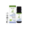 Physalis Aceite Esencial de Hierba Buena 10ml