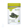 Biotona Kale Col Rizada BIO 120gr