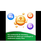 Berocca Performance 60 comprimidos