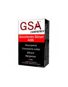 GSA Glucochondro Silicium Actifs 30 comprimidos