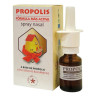 Gricar Própolis Spray Nasal 15ml