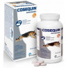 Cosequin Advanced Condroprotector HA+ MSM