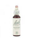 FLORES BACH MUSTARD 20 ML