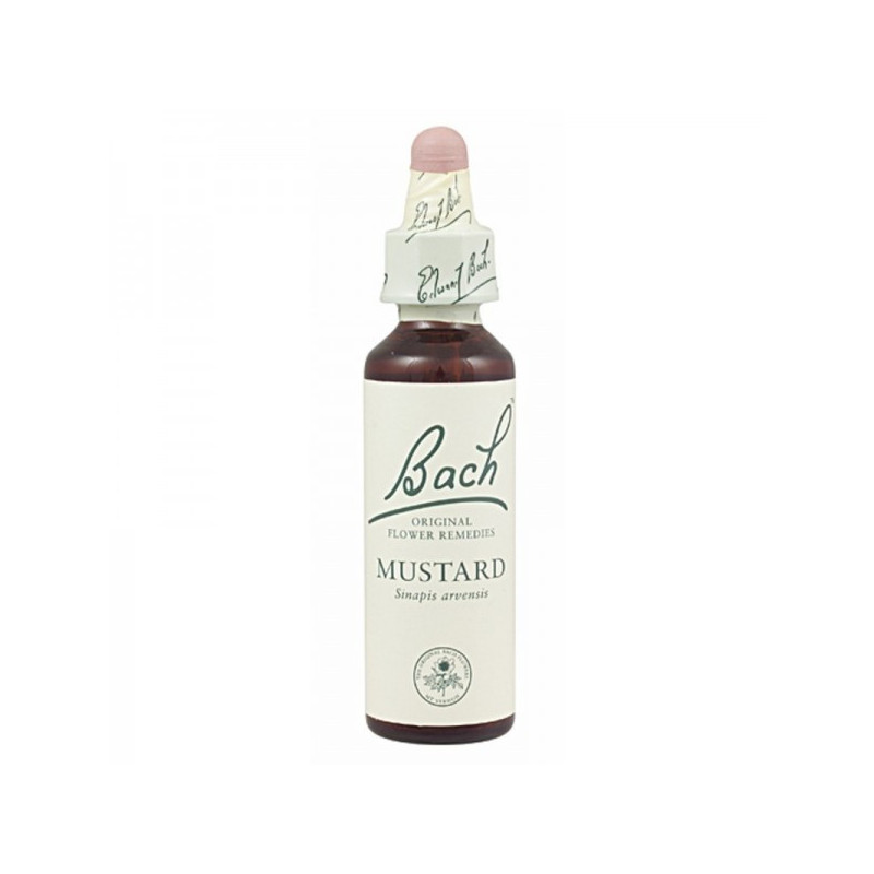 FLORES BACH MUSTARD 20 ML