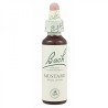 FLORES BACH MUSTARD 20 ML