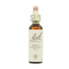 FLORES BACH SWEET CHESTNUT 20 ML