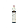 FLORES BACH HONEYSUCKLE 20 ML