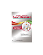 Saint Bernard Parches Adhesivos Microperforados 1 unidad 190X300mm