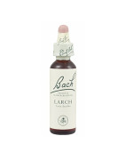 FLORES BACH LARCH 20 ML