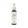 FLORES BACH LARCH 20 ML