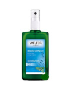 Weleda Salvia Desodorante Natural 100ml