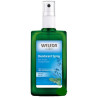 Weleda Salvia Desodorante Natural 100ml