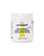 Amlsport colágneo magnesio +vitC +vit B1 +B2 + B6 350gr