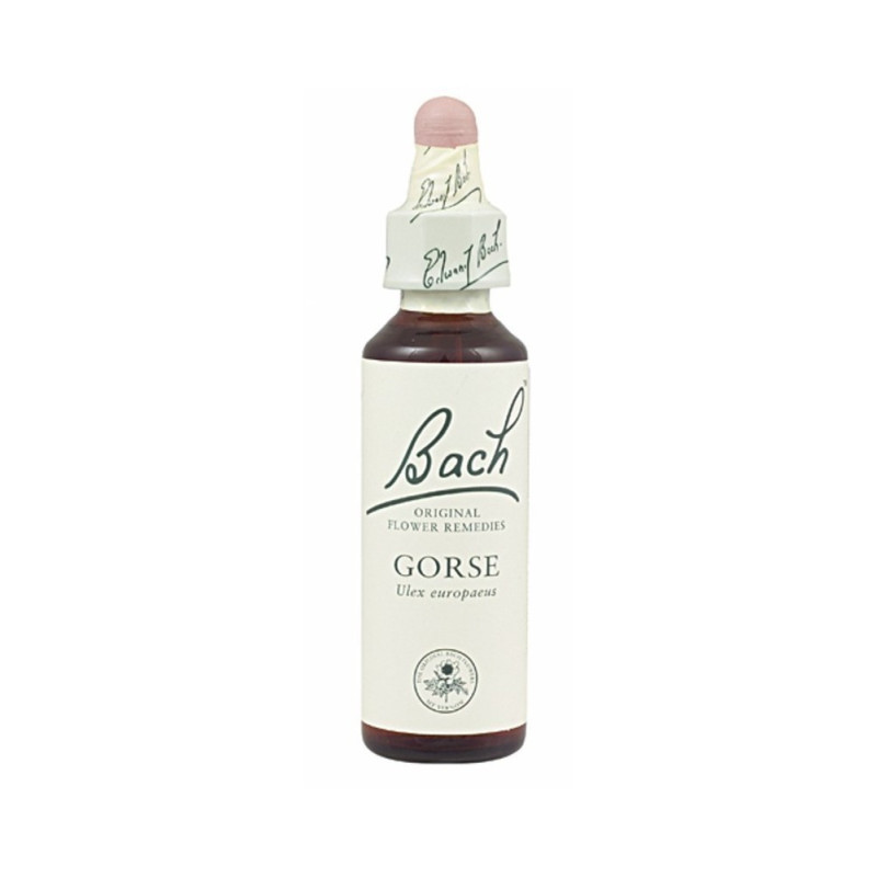 FLORES DE BACH GORSE 20 ML