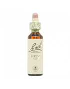 FLORES DE BACH BEECH 20 ML