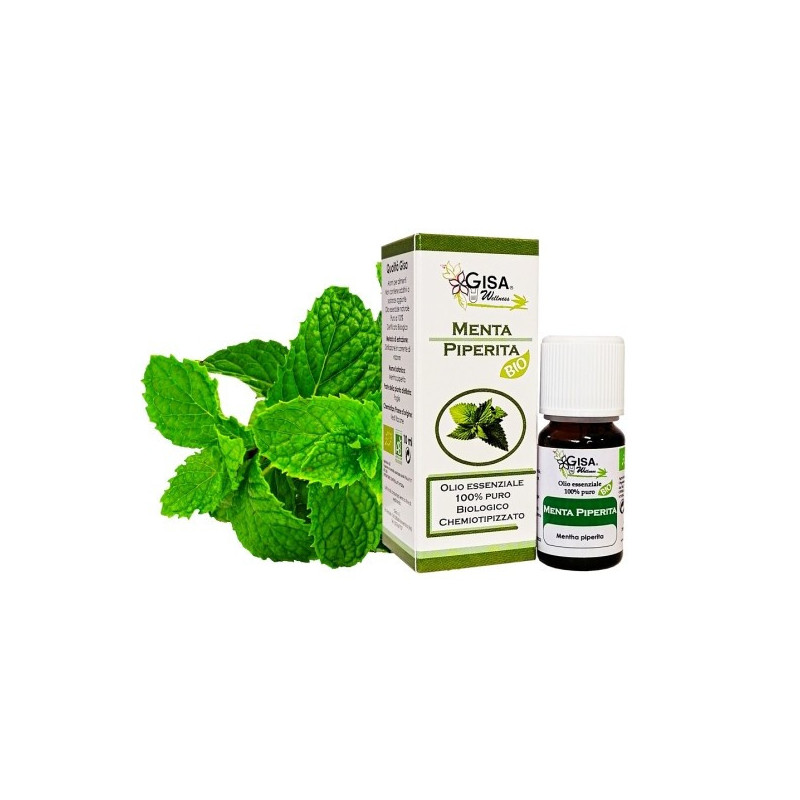 GISA Wellness – Menta piperita BIO (Mentha piperita)