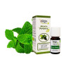 GISA Wellness – Menta piperita BIO (Mentha piperita)