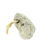 Forsters Piedra Pómez Grande