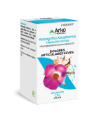 ARKOCAPSULAS HARPAGOFITO 48 CAPS