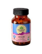 ORGANIC INDIA AMALAKI VITAMINA C 90 CÁPSULAS