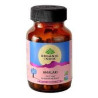 ORGANIC INDIA AMALAKI VITAMINA C 90 CÁPSULAS