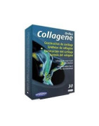 Orthonat Collagene Cartílago 30 cápsulas