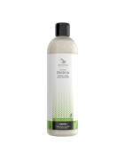 ARMONIA CHAMPU DE BIOTINA 400 ML
