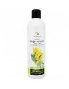 ARMONIA CHAMPU REGENERADOR 300ML