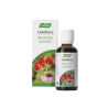 A. VOGEL CISTIFORCE BIENESTAR URINARIO 50ML