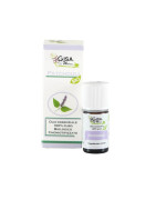 GISA Wellness – Patchouli BIO