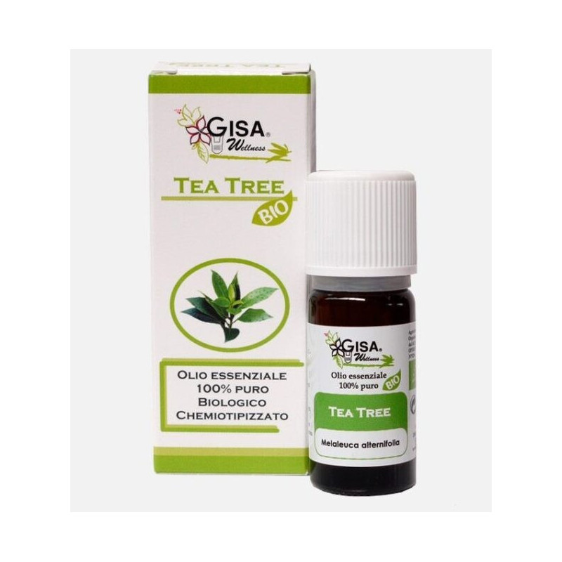 GISA Bienestar – Árbol del Té BIO (Melaleuca alternifolia)