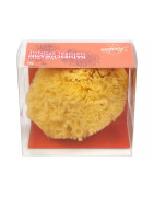 ESPONJA MARINA NATURAL FORSTER'S