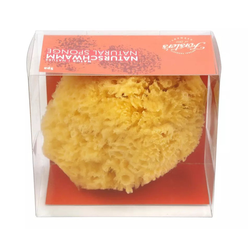 ESPONJA MARINA NATURAL FORSTER'S