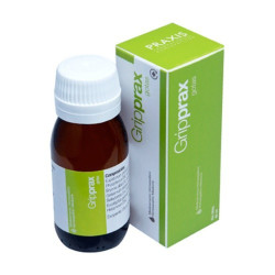 PRAXIS GRIPPRAX GOTAS 60ML