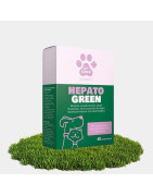 DR GREEN Drasanvi HepatoGreen 48 comprimidos