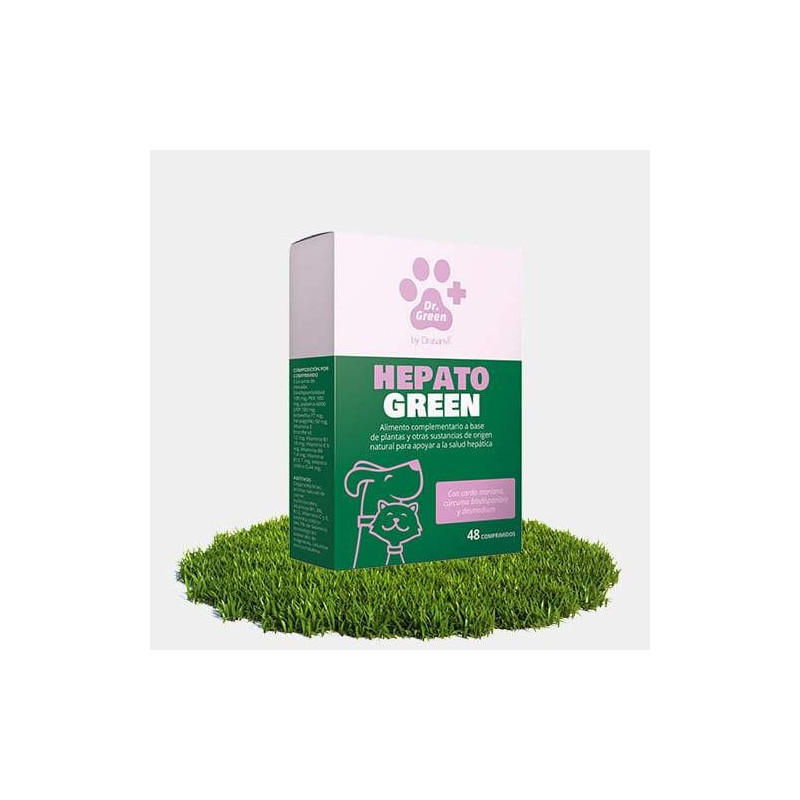 DR GREEN Drasanvi HepatoGreen 48 comprimidos