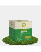 DR GREEN Drasanvi MovilGreen 60 comprimidos