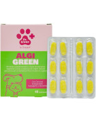 DR GREEN Drasanvi AlgiGreen 48 comprimidos