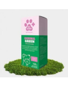 DR GREEN Drasanvi DermaGreen solución oral 120ml