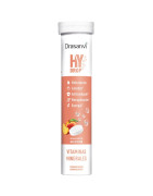 DRASANVI HYDROP MELOCOTÓN 18 COMP