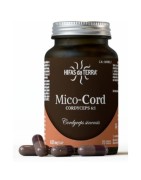HIFAS DA TERRA - HDT MICO CORD (CORDYCEPS) HDT 70 CAPS