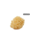 Suavinex esponja natural mediana